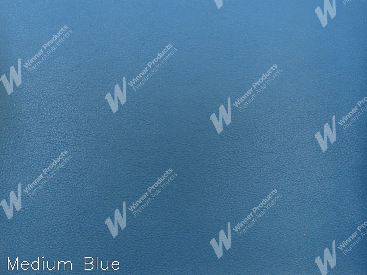 Holden Monaro HQ Monaro Coupe Jan-Aug 72 Vinyl (Image 4 of 6)